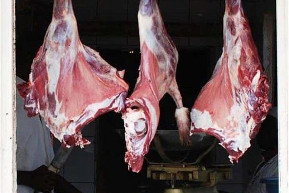 سعر اللحوم البلدي في منافذ وزارة الزراعة.. الكيلو هيوصل 300 جنيه في رمضان