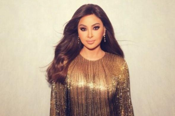 شاهد .. شركة "وتري" ترد على إليسا بعد صدور حكم القضاء الإماراتي
