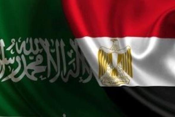 أستاذ قانون دولي: السعودية ومصر ركيزتا الأمن العربي منذ أكتوبر 73 وحتى اليوم