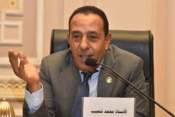 النائب محمد شعيب: تحركات الرئيس السيسي صمام أمان لاستقرار المنطقة