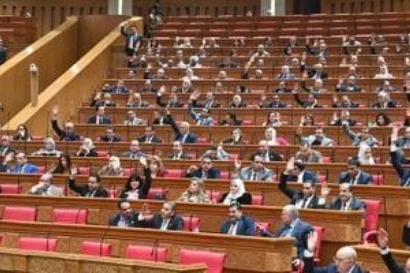 برلمانى: دعوة وزارة الدولة للإعلام لوقف السجالات الإعلامية تعزز وحدة الصف العربى