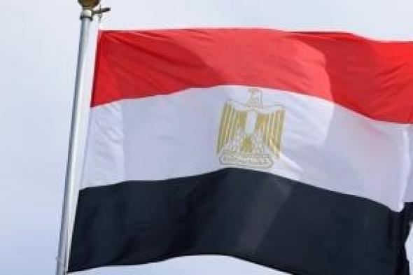 مصر تقود معادلة الاستقرار الإقليمي.. تحركات متوازنة ترسخ السلام وتمنع اتساع الصراعات.. سياسيون: القاهرة تملك رؤية قائمة على الحوار ودعم الحلول السياسية.. ويؤكدون: استقرار الخليج جزء من الأمن القومي العربي