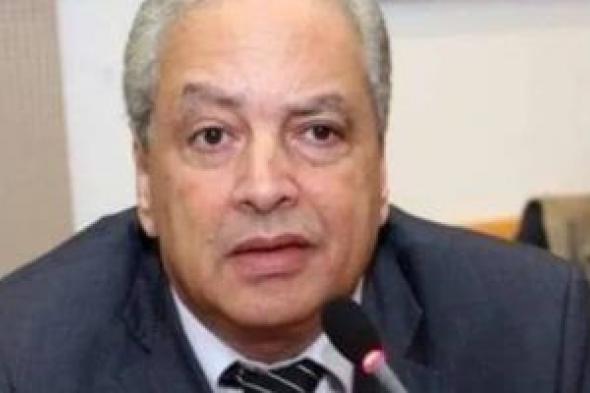 أستاذ علوم سياسية: مصر تبحث عن حلول سياسية ودبلوماسية عادلة للأزمات الراهنة