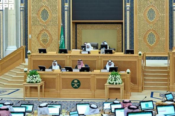 الشورى يطالب بضرورة تركيب أعمدة الإنارة على الطرق السريعة