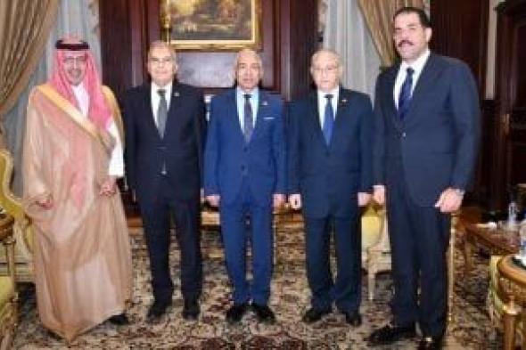 رئيس مجلس الشيوخ للسفير السعودى: أمن المملكة جزء لا يتجزأ من الأمن القومى المصرى
