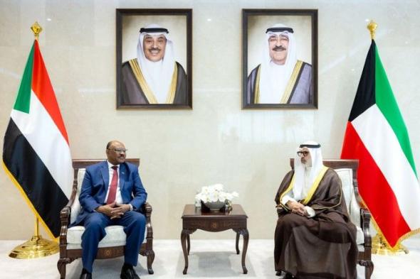 وزير الخارجية بحث مع نظيره السوداني القضايا المشتركة وآخر التطورات الإقليمية