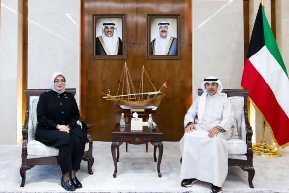 نائب وزير الخارجية استقبل السفيرة التركية بمناسبة انتهاء عملها
