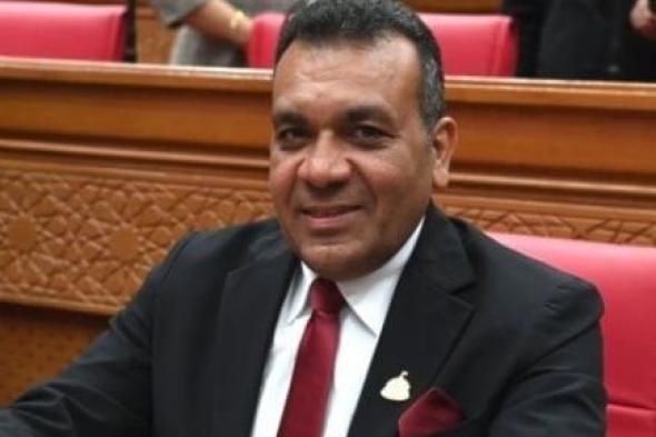النائب أشرف مرزوق: تفويض الرئيس السيسى لدعم السعودية يجسد ثوابت الدولة المصرية
