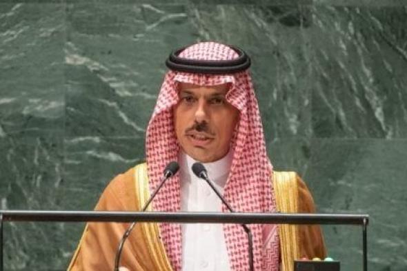 وزيرا خارجية السعودية وجنوب إفريقيا يبحثان مستجدات الأوضاع الإقليمية والدولية