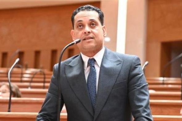 نائب: تفويض فخامة الرئيس لدعم السعودية يجسد التزام مصر بحماية الأمن العربى